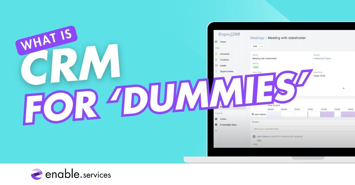 What is a CRM for dummies?